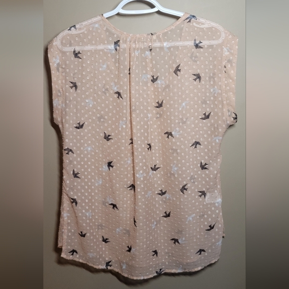 Daniel Rainn medium sheer dusty pink textured polka-dot bird boxy blouse - Picture 5 of 7